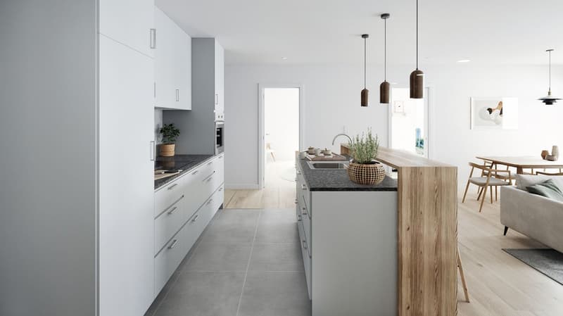 Appartement de 3.5 pièces au rez-de-chaussée - Lot 1 (4)