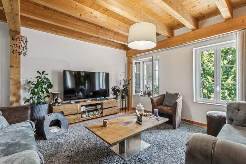 Immeuble mixte avec restaurant- Excellent potentiel de rendement (8)