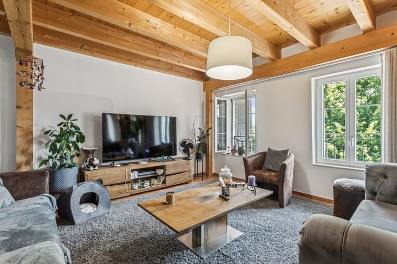 Immeuble mixte avec restaurant- Excellent potentiel de rendement (8)