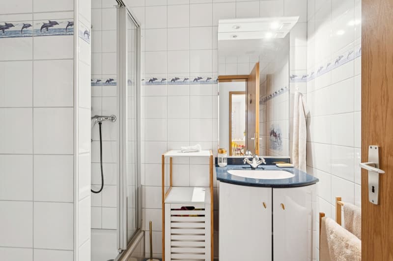 Bel appartement dans un quartier familial (12)