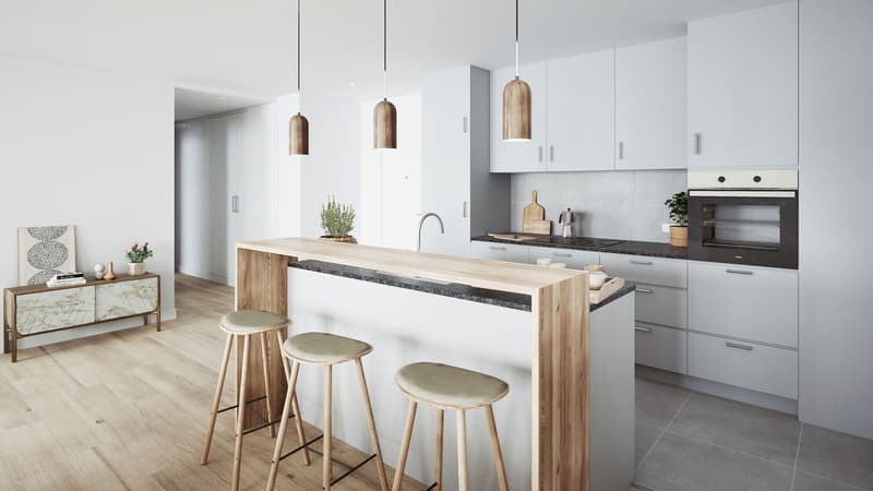Appartement de 3.5 pièces au rez-de-chaussée - Lot 2 (7)
