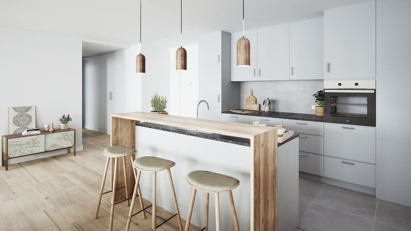 Appartement de 3.5 pièces au rez-de-chaussée - Lot 2 (7)