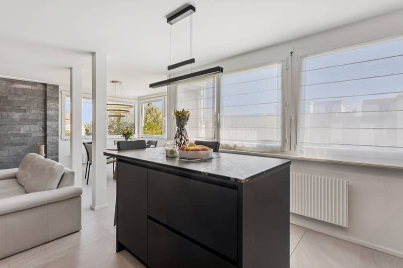 Magnifique appartement de 4,5 pièces rénové (12)