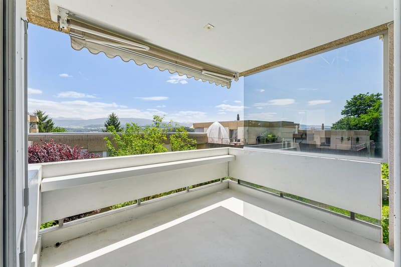 Appartement de 4.5 pièces avec 2 balcons (4)