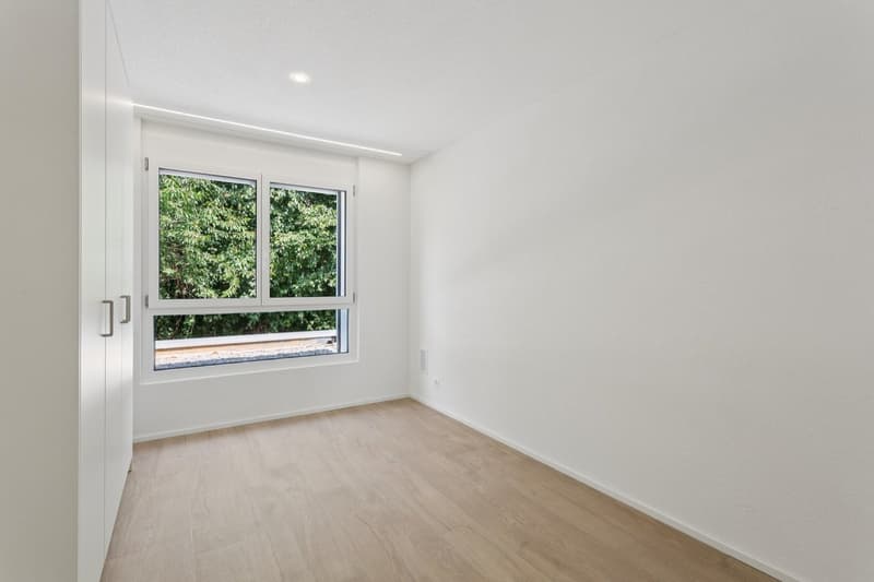 Magnifique maison neuve contiguë de 5,5 pièces en extrémité (11)