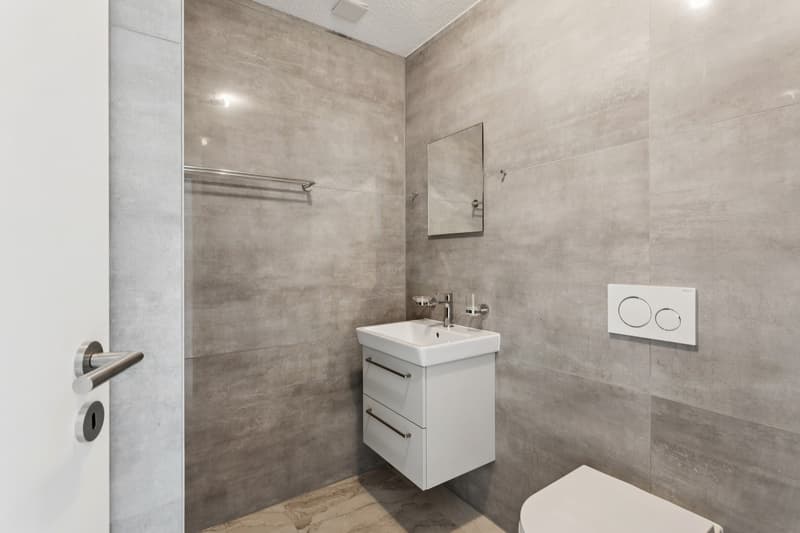 Magnifique maison neuve contiguë de 5,5 pièces en extrémité (5)