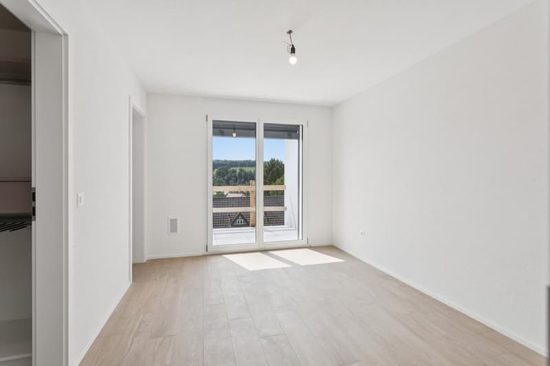 Magnifique maison neuve contiguë de 5,5 pièces en extrémité (7)