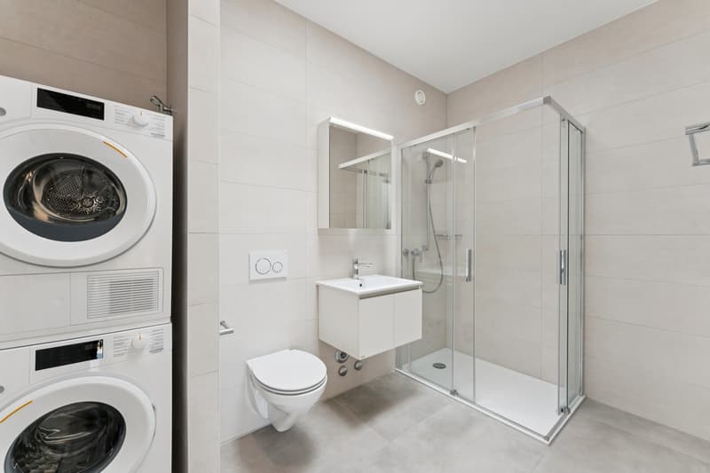 Lumineux appartement situé au dernier étage (3)