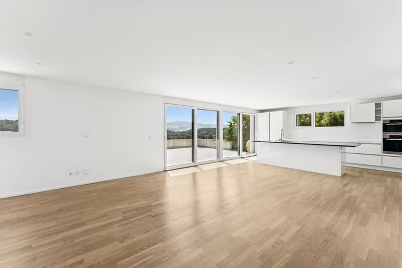 Villa familiale contemporaine, panorama d'exception (2)