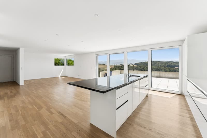 Villa familiale contemporaine, panorama d'exception (3)