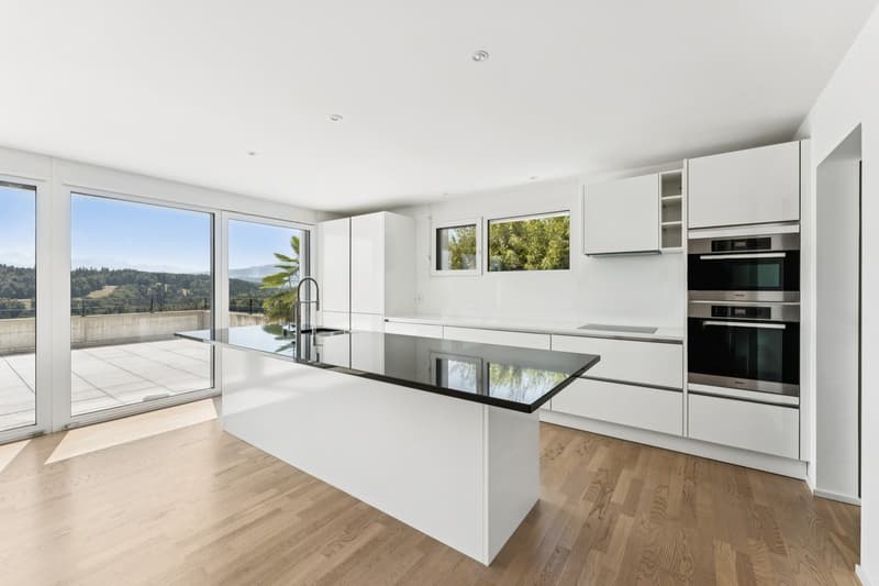 Villa familiale contemporaine, panorama d'exception (4)