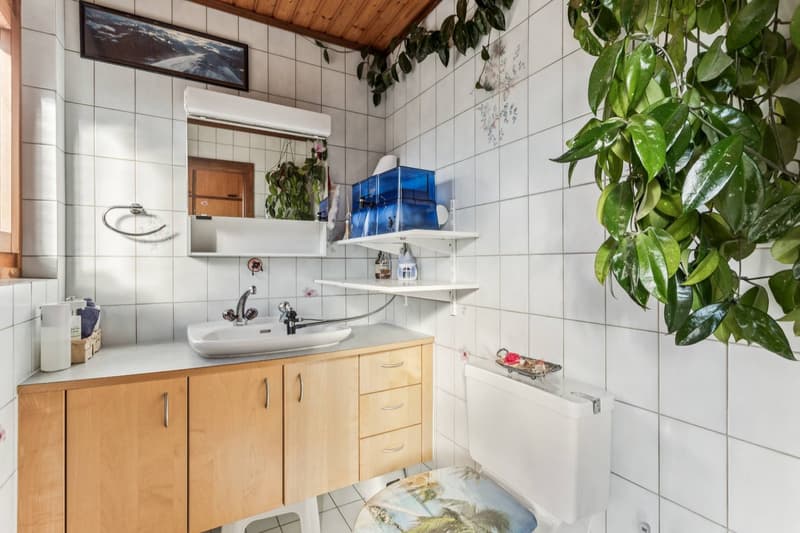 Maison familiale avec vaste jardin et potentiel d'agrandissement (7)