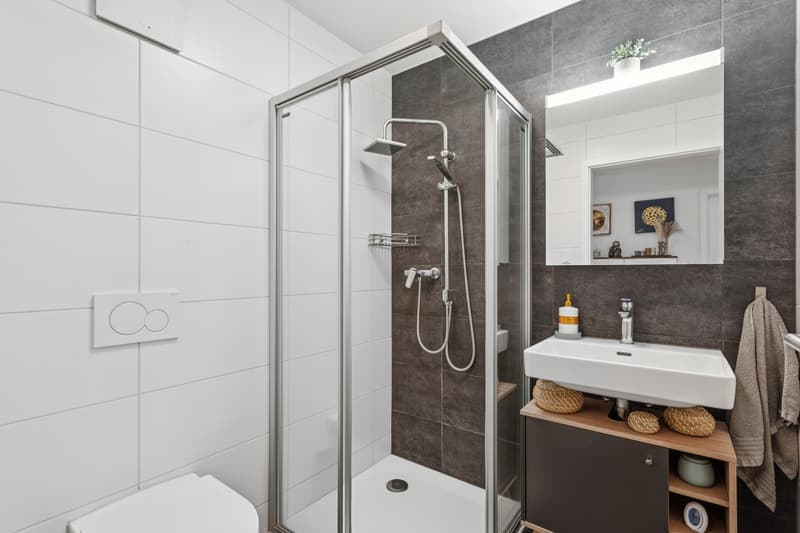 Bel appartement de 4.5 pièces avec jardin et terrasse (11)