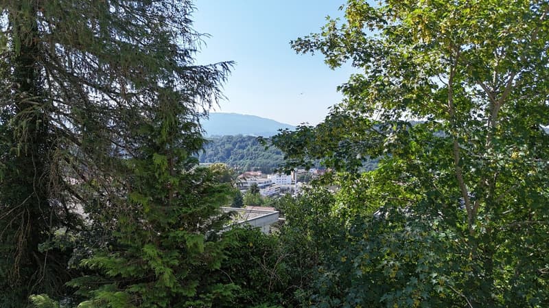 DERNIER LOT - Somptueux appartement de 171 m² habitables (9)
