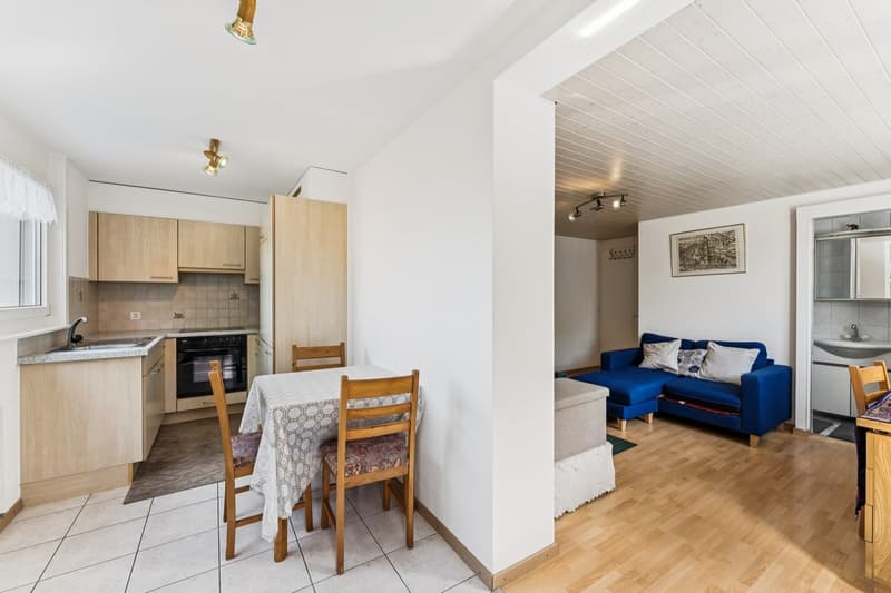 Belle maison de deux appartements avec jardin (13)