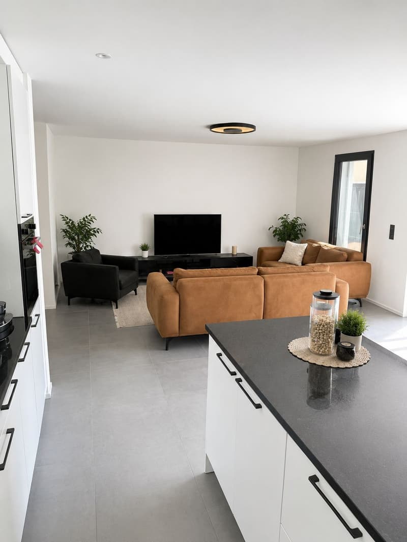 Magnifique maison contemporaine mitoyenne en pignon (5)
