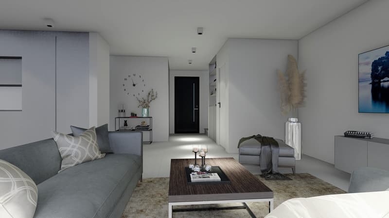 Magnifique maison contemporaine mitoyenne en pignon (3)