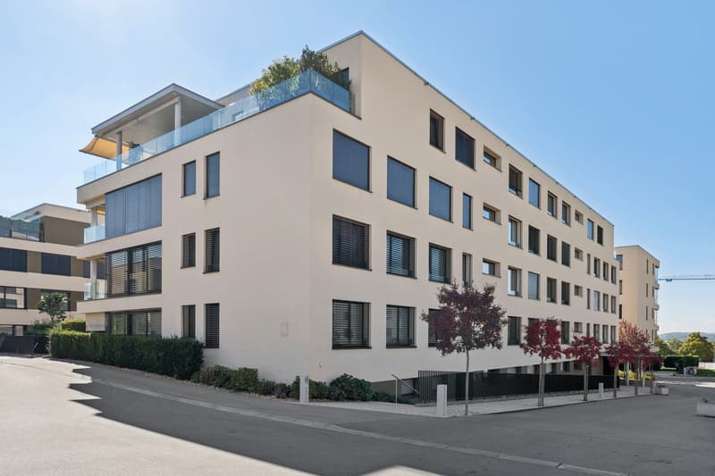 Magnifique appartement de 4.5 pièces idéalement situé (13)