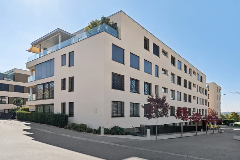 Magnifique appartement de 4.5 pièces idéalement situé (13)