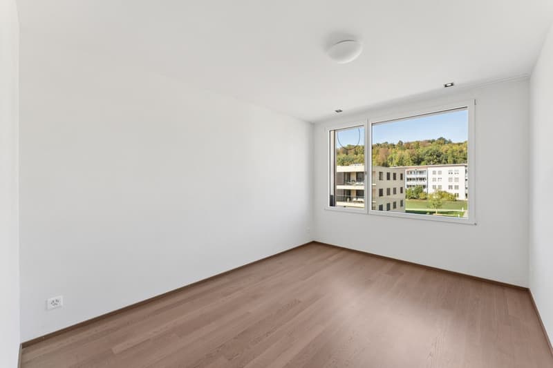 Magnifique appartement de 4.5 pièces idéalement situé (5)