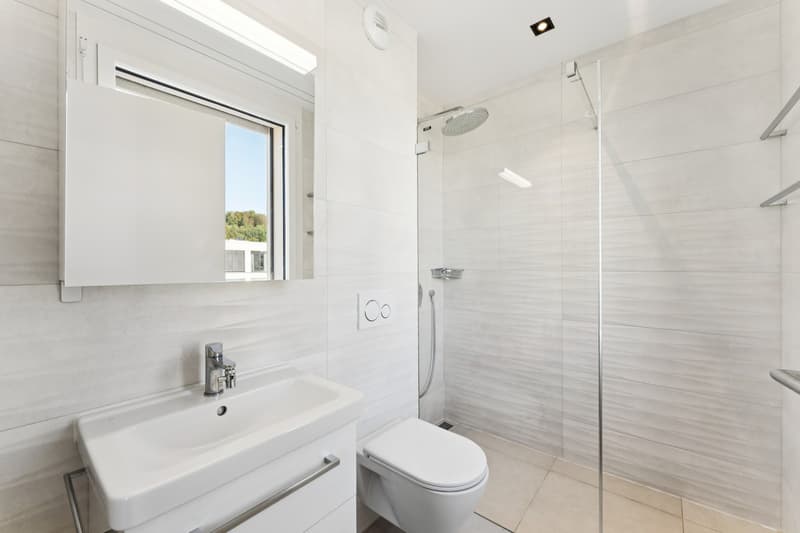 Magnifique appartement de 4.5 pièces idéalement situé (4)