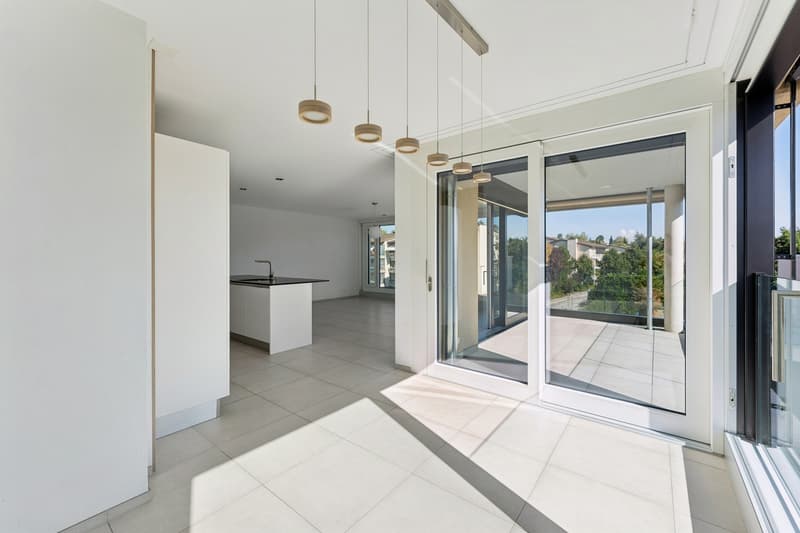 Magnifique appartement de 4.5 pièces idéalement situé (10)
