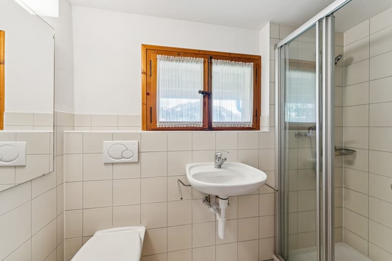 Chalet de deux appartements au panorama exceptionnel (9)