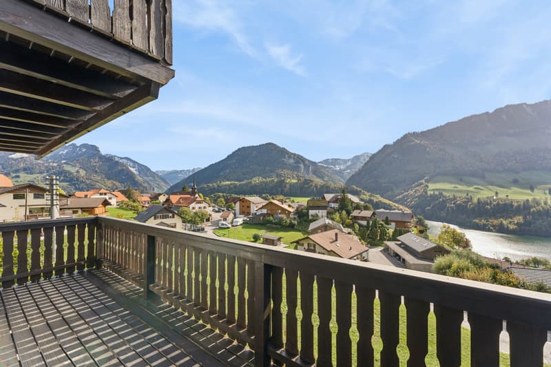 Chalet de deux appartements au panorama exceptionnel (13)