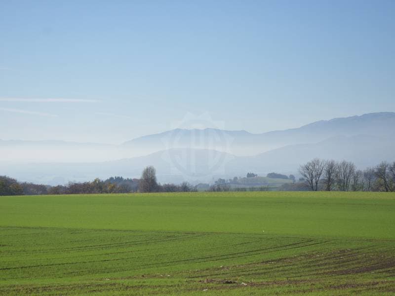 Ravissant appartement - Burtigny (1)