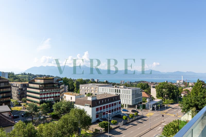 Attique de 4.5 pièces proche du centre de Lausanne (7)