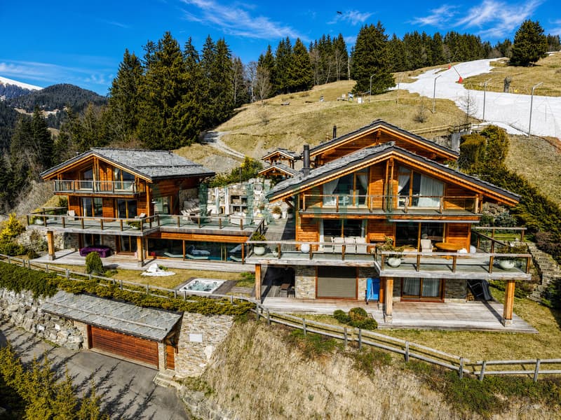 Domaine d'exception - Vue panoramique & ski-in / ski-out (3)