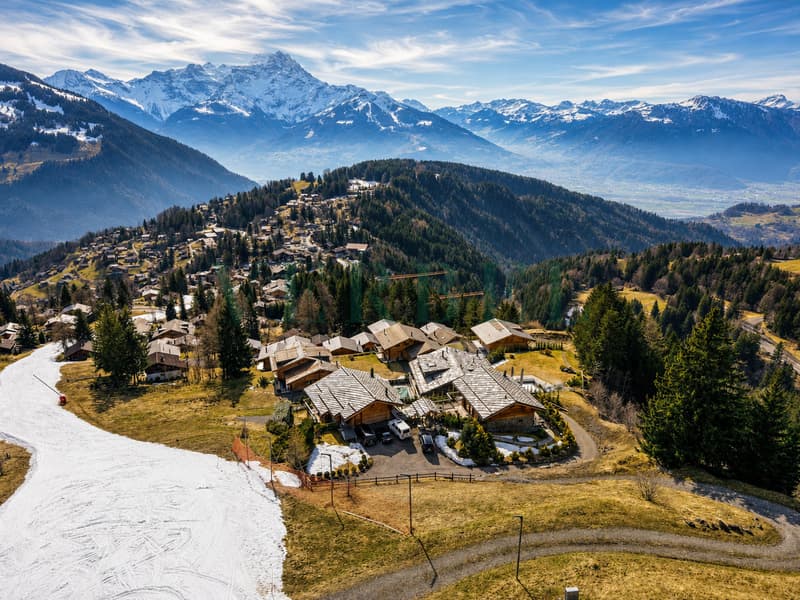 Domaine d'exception - Vue panoramique & ski-in / ski-out (1)