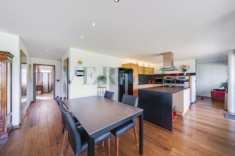 Duplex en attique avec vue exceptionnelle sur lac et montagnes (3)