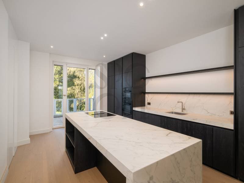 Spacieux appartement entièrement rénové à Champel (2)