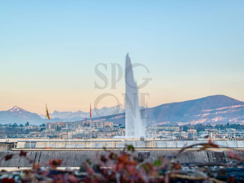 Triplex d'exception avec vues imprenables sur le lac et les Alpes (1)