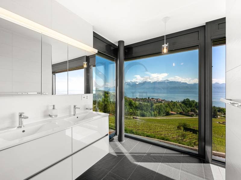 Villa d'architecte avec vue panoramique au c?ur du Lavaux (7)