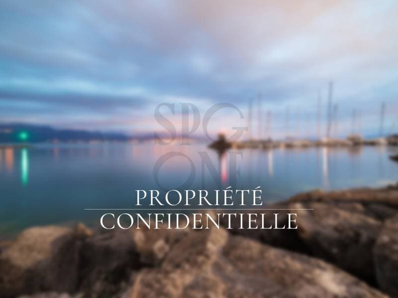 Appartement exceptionnel - Genève (2)