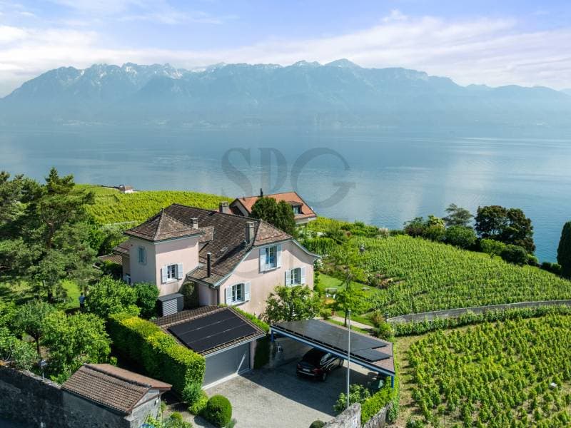 Elégante maison d'inspiration bourgeoise au coeur du Lavaux (1)