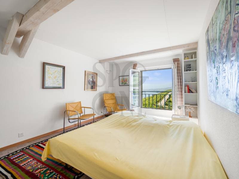 Elégante maison d'inspiration bourgeoise au coeur du Lavaux (6)