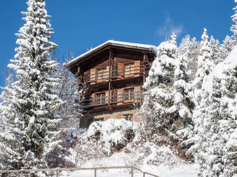 Chalet typique avec vue à couper le souffle (1)