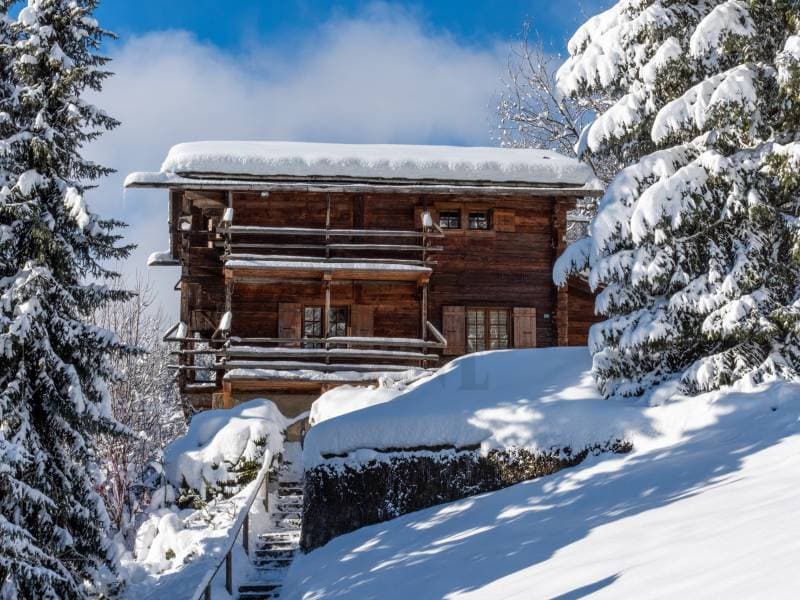 Chalet typique avec vue à couper le souffle (3)