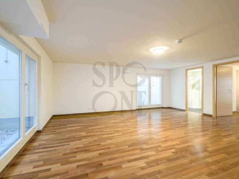 Beau villa - Vandoeuvres (11)