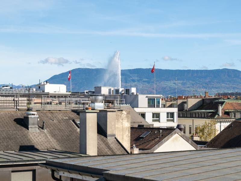 Appartement exceptionnel - Genève (10)