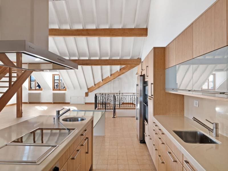Appartement exceptionnel - Genève (3)
