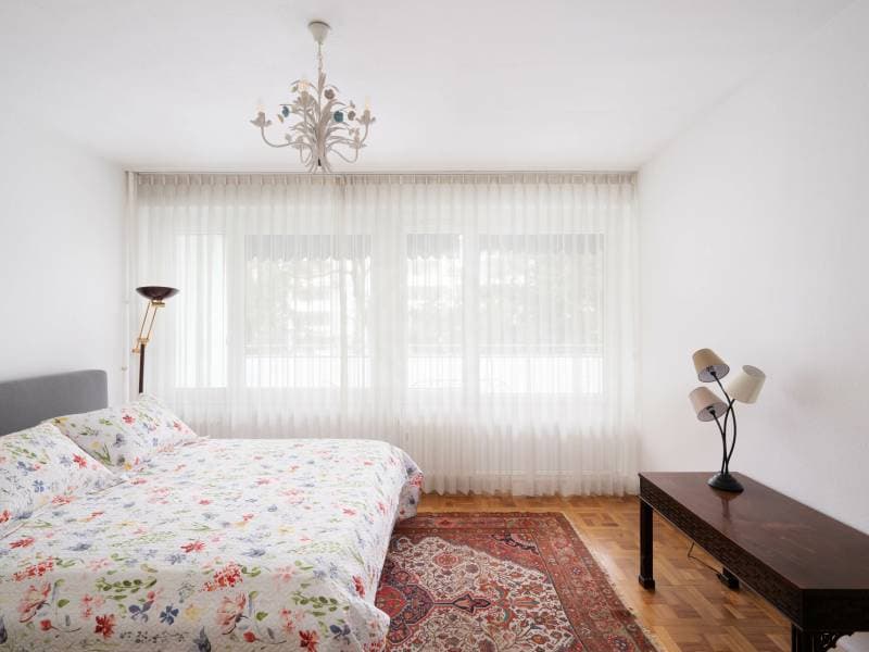 Bel appartement - Genève (11)