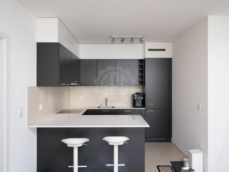 Magnifique appartement - Carouge GE (2)