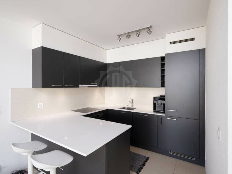 Magnifique appartement - Carouge GE (1)