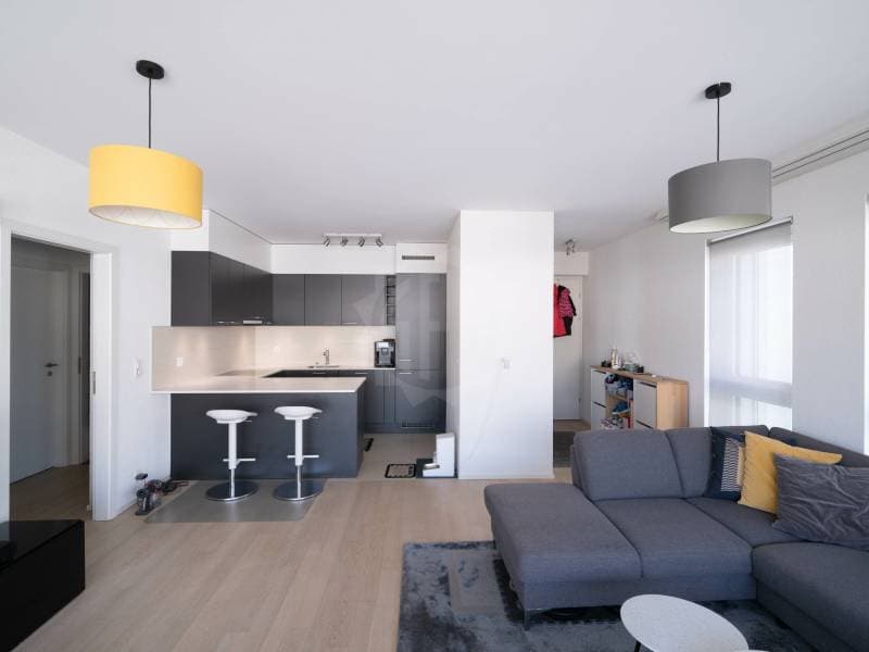 Magnifique appartement - Carouge GE (3)