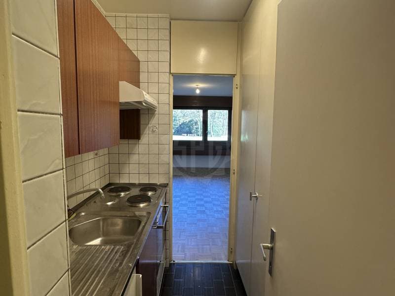Appartement agréable - Genève (1)