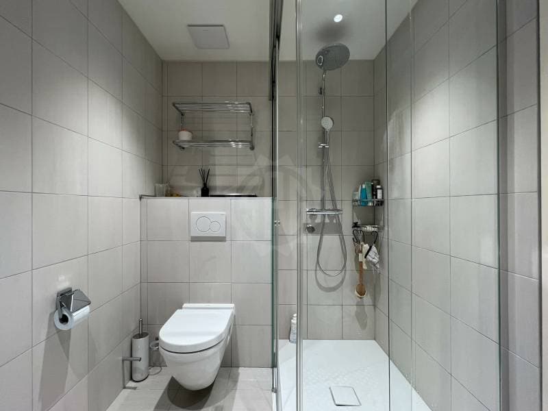 Magnifique appartement - Vandoeuvres (10)